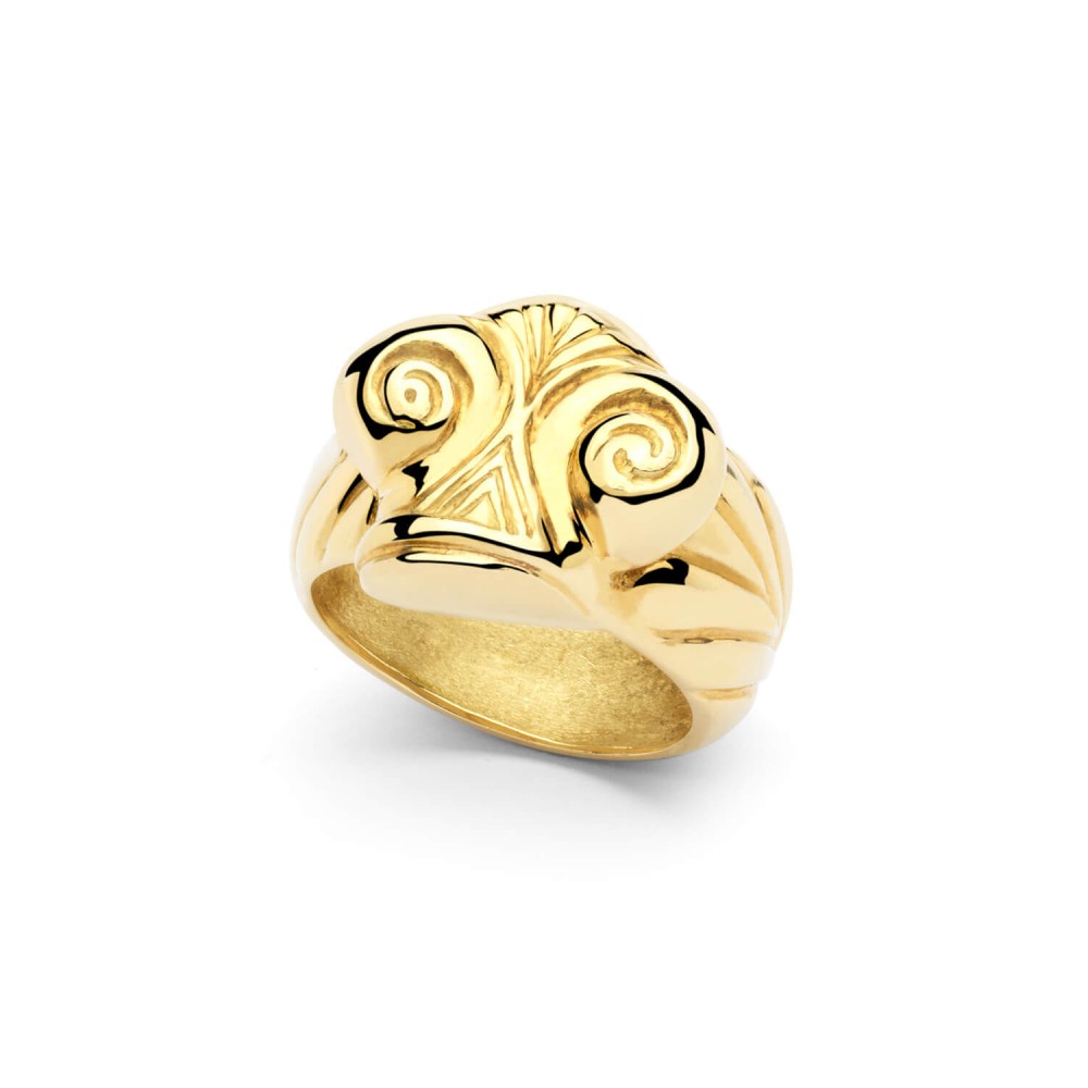 Anillo Capitel 