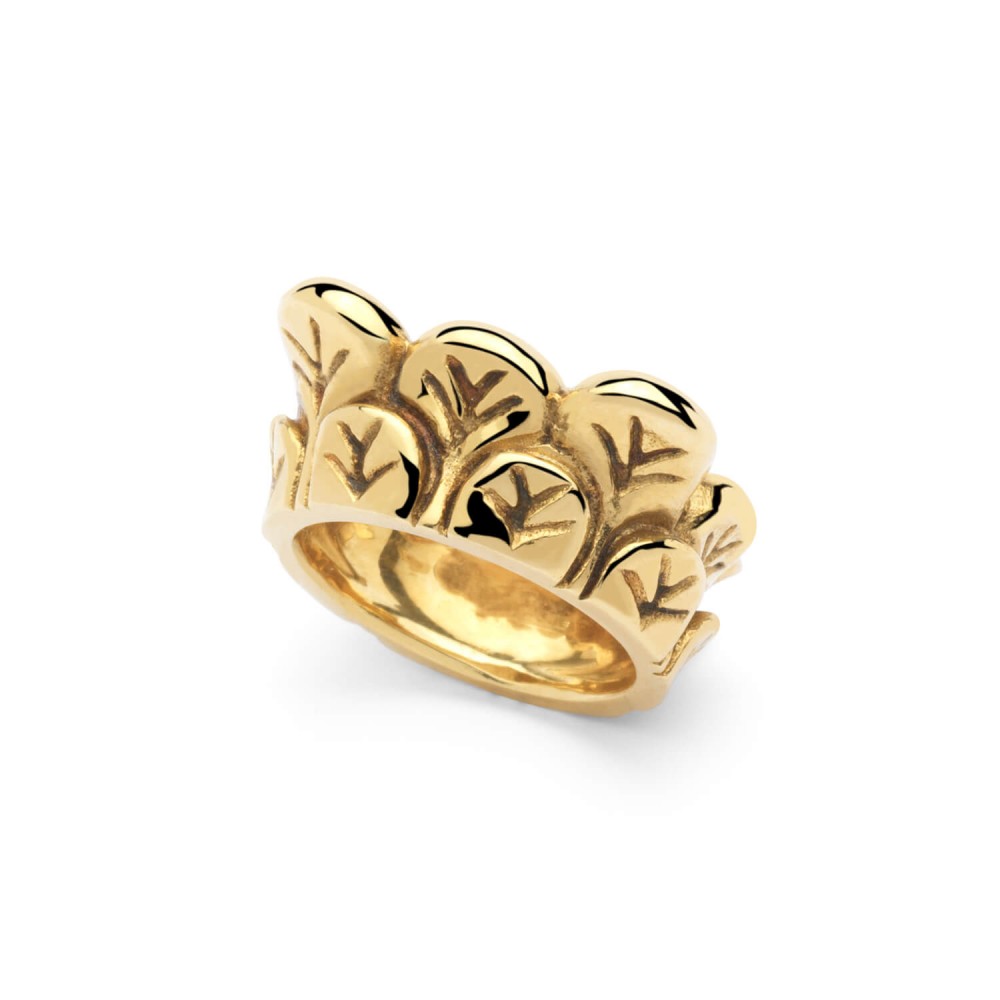Anillo Capitel Anillo Capitel