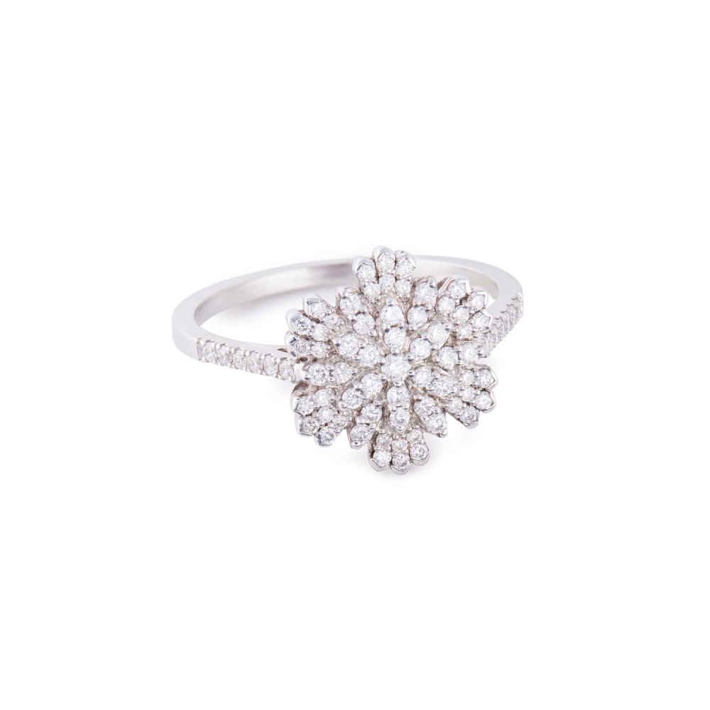Anillo Floc On Anillo Floc On