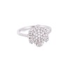 Anillo Floc On Anillo Floc On
